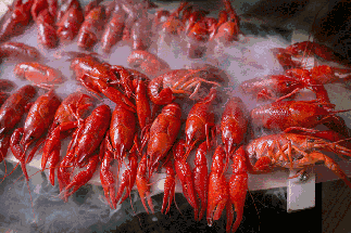 小龍蝦vs火鍋，誰才是餐飲界扛把子？