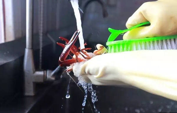 小龍蝦vs火鍋，誰才是餐飲界扛把子？